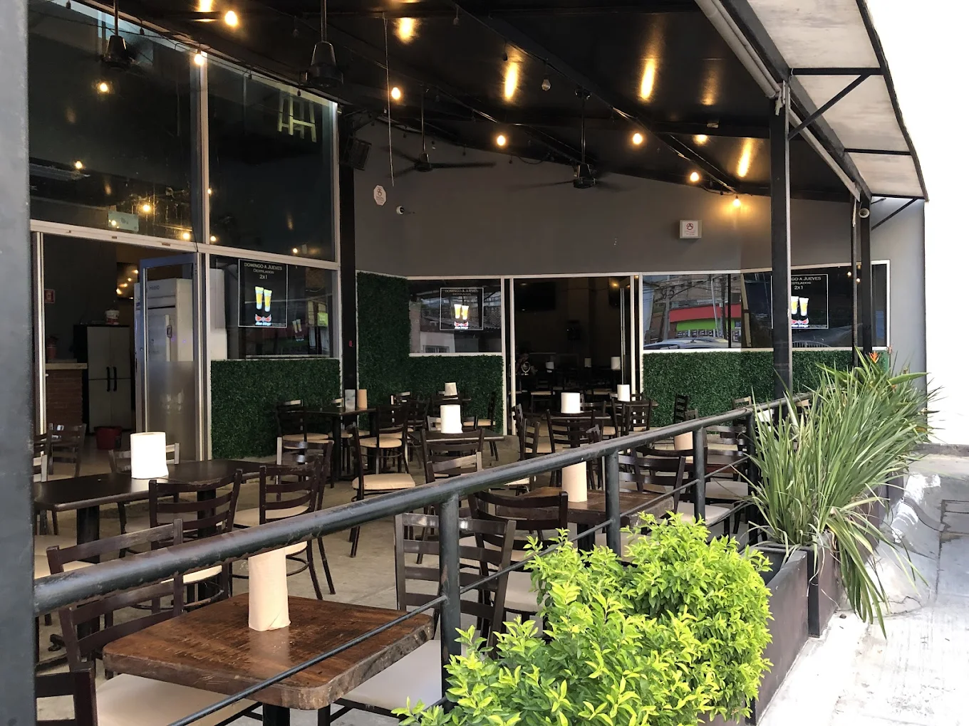 Terraza Mex Wings